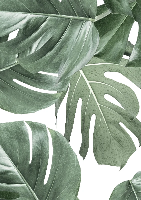 Botanical Wallpaper Monstera White by KEK Amsterdam