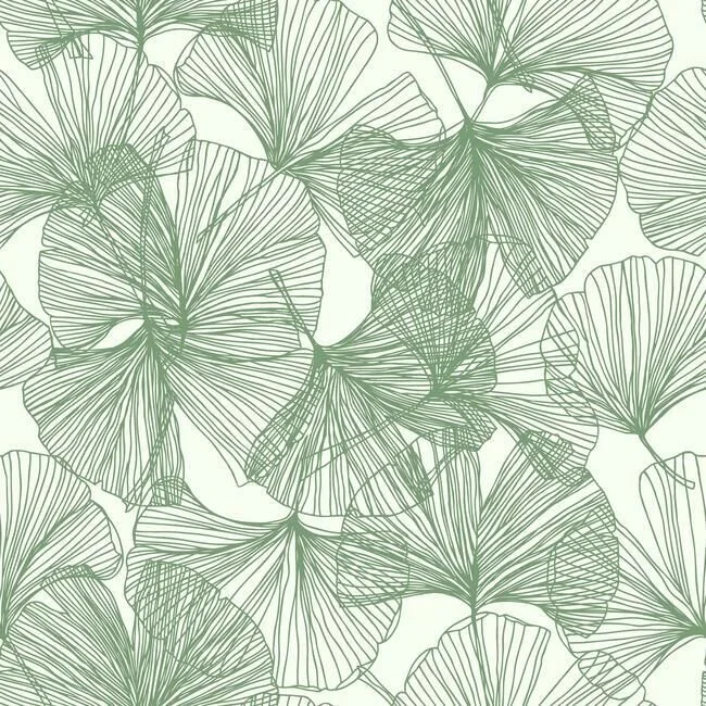 Gingko Leaves Peel & Stick Wallpaper in Green