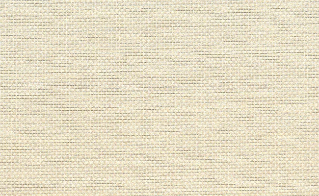 Paperweave Grasscloth Wallpaper in Off White