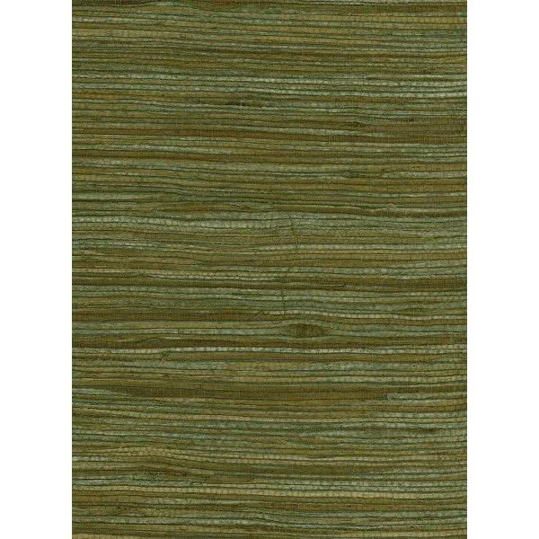 Water Hyacinth Grasscloth Wallpaper in Greens and Tan from the Natural Resource Collection by Seabrook Wallcoverings